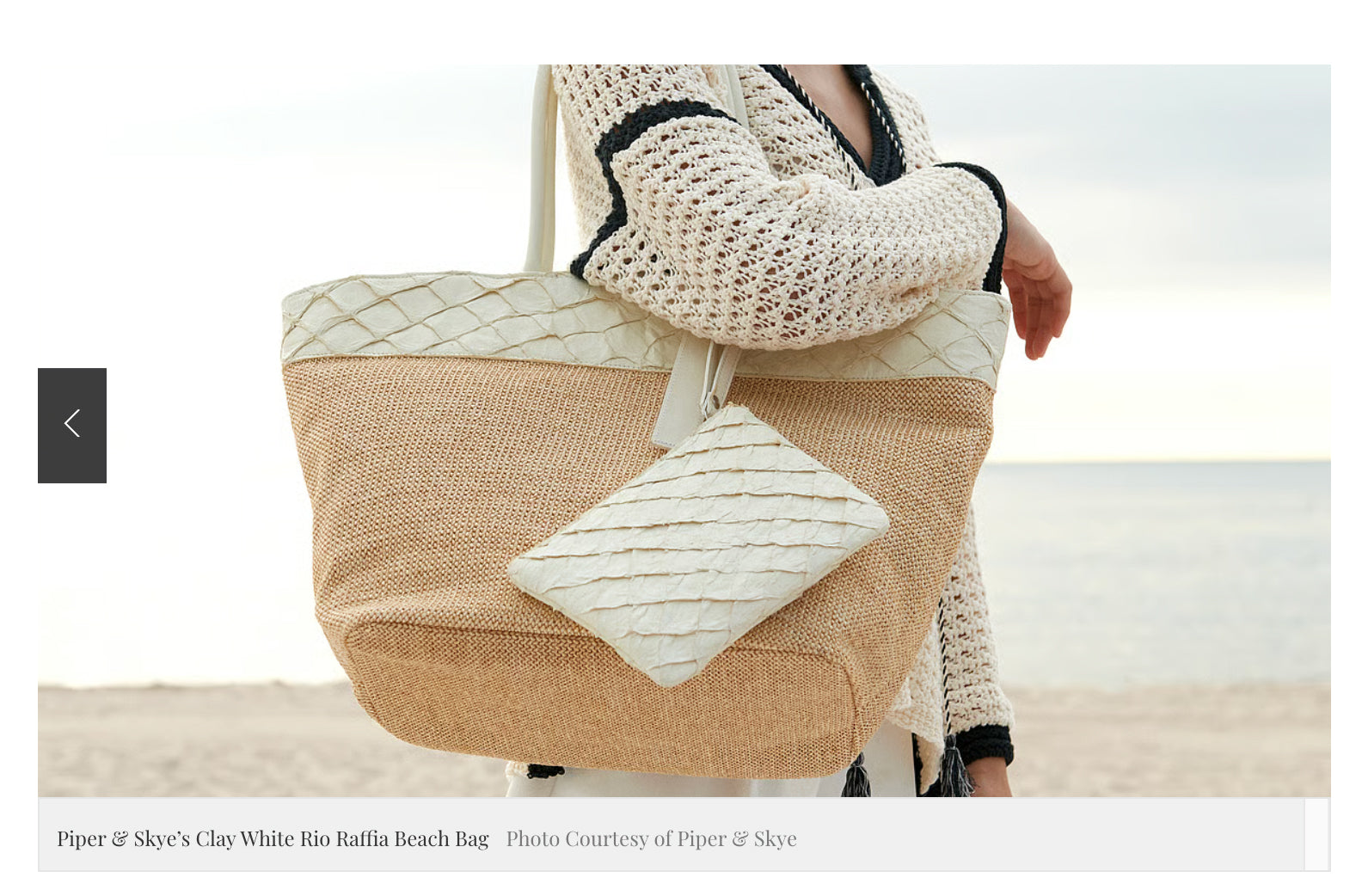 Championing a Passion for Ocean Conservation