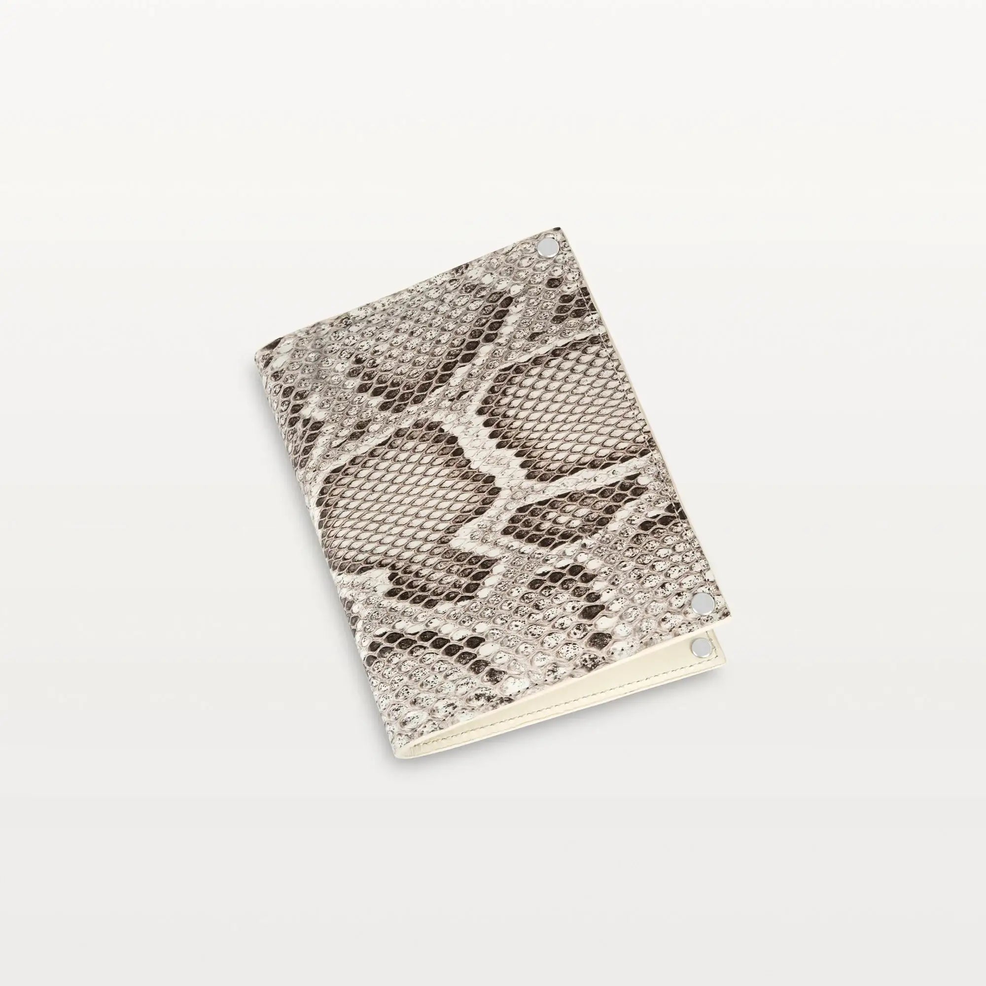 Passport Holder in Natural Python